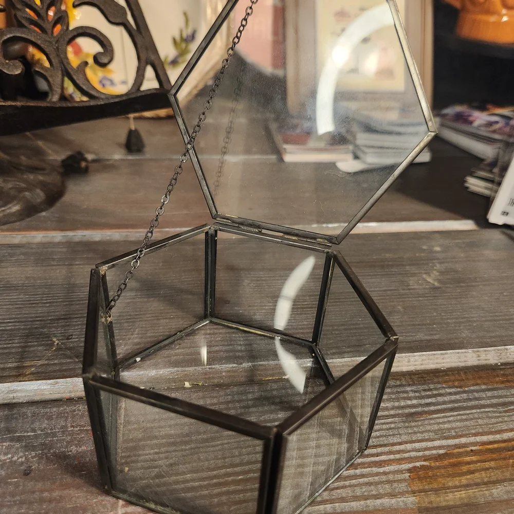 Hexagonal Glass Terrarium with Black Frame - Picture 1 of 4